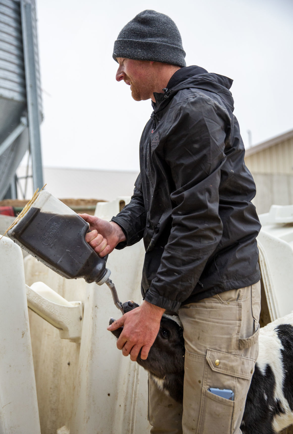 Michael Brubaker cares for his cows